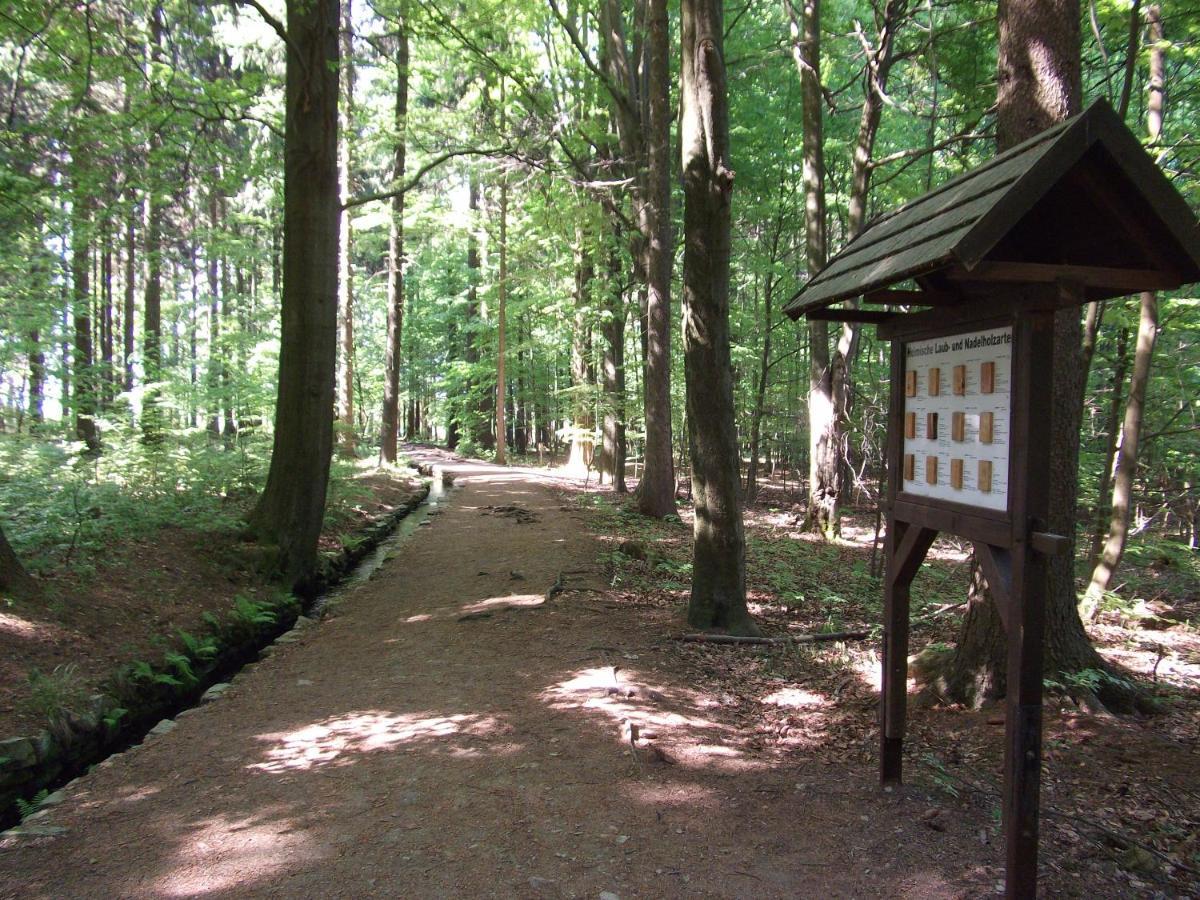 Ferienwohnung Erzgebirge - Pobershau - Mit Schoenem Ausblick, Ruhige, Beste Lage Eksteriør billede