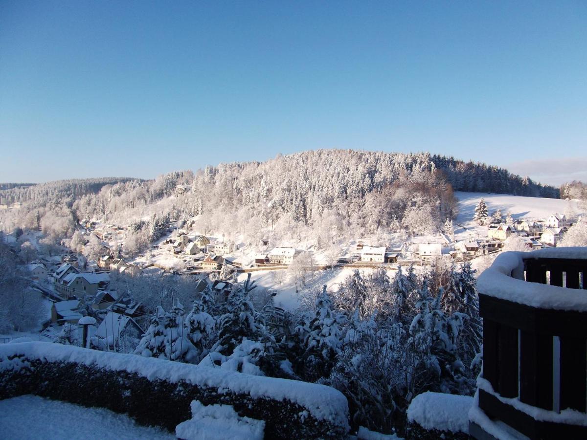 Ferienwohnung Erzgebirge - Pobershau - Mit Schoenem Ausblick, Ruhige, Beste Lage Eksteriør billede