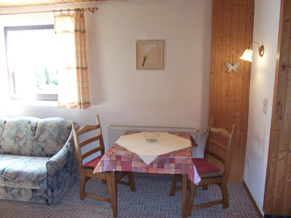 Ferienwohnung Erzgebirge - Pobershau - Mit Schoenem Ausblick, Ruhige, Beste Lage Eksteriør billede